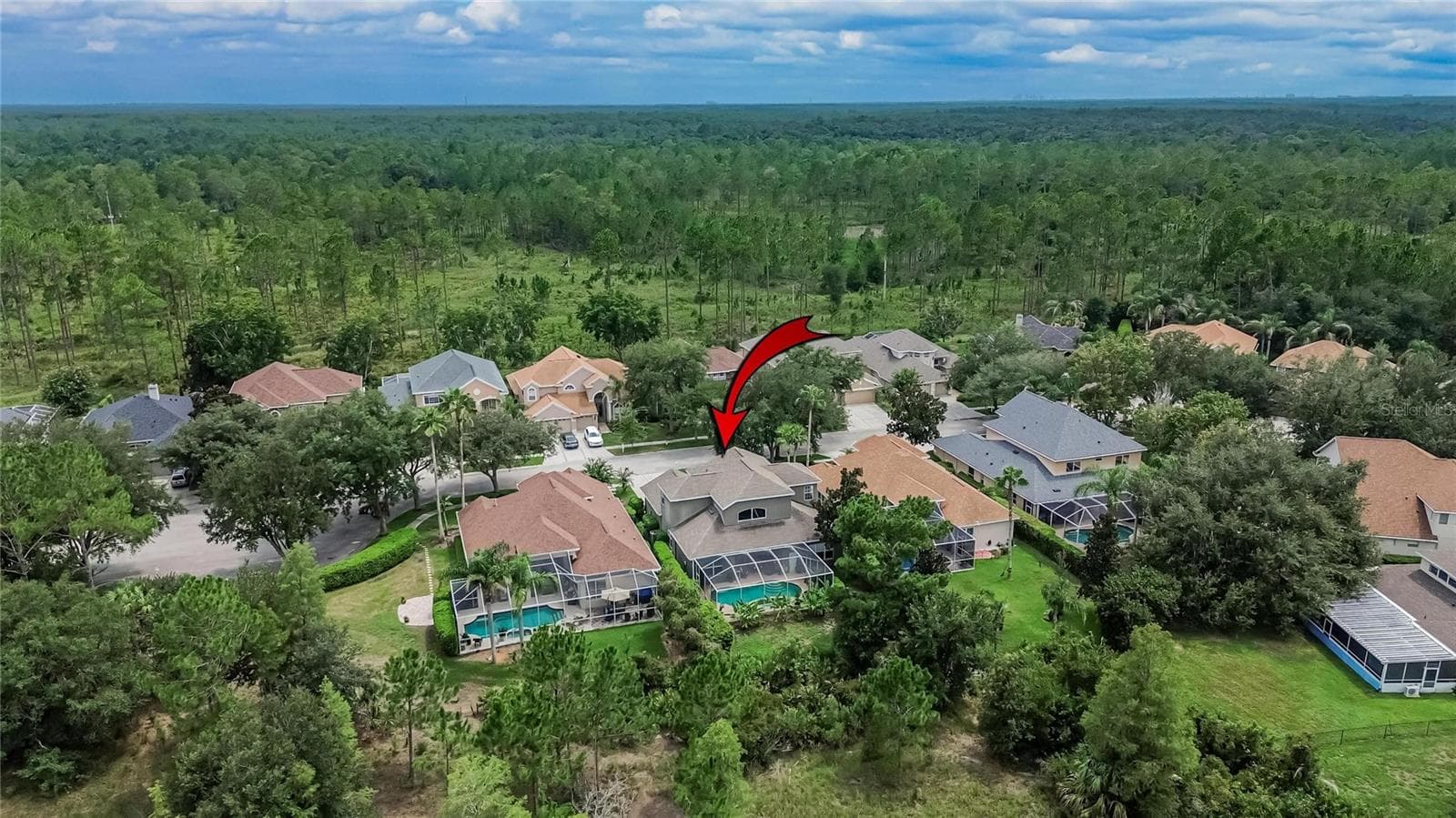Single Family Residence at 10103 DEERCLIFF DR, TAMPA, photo 79 of 94