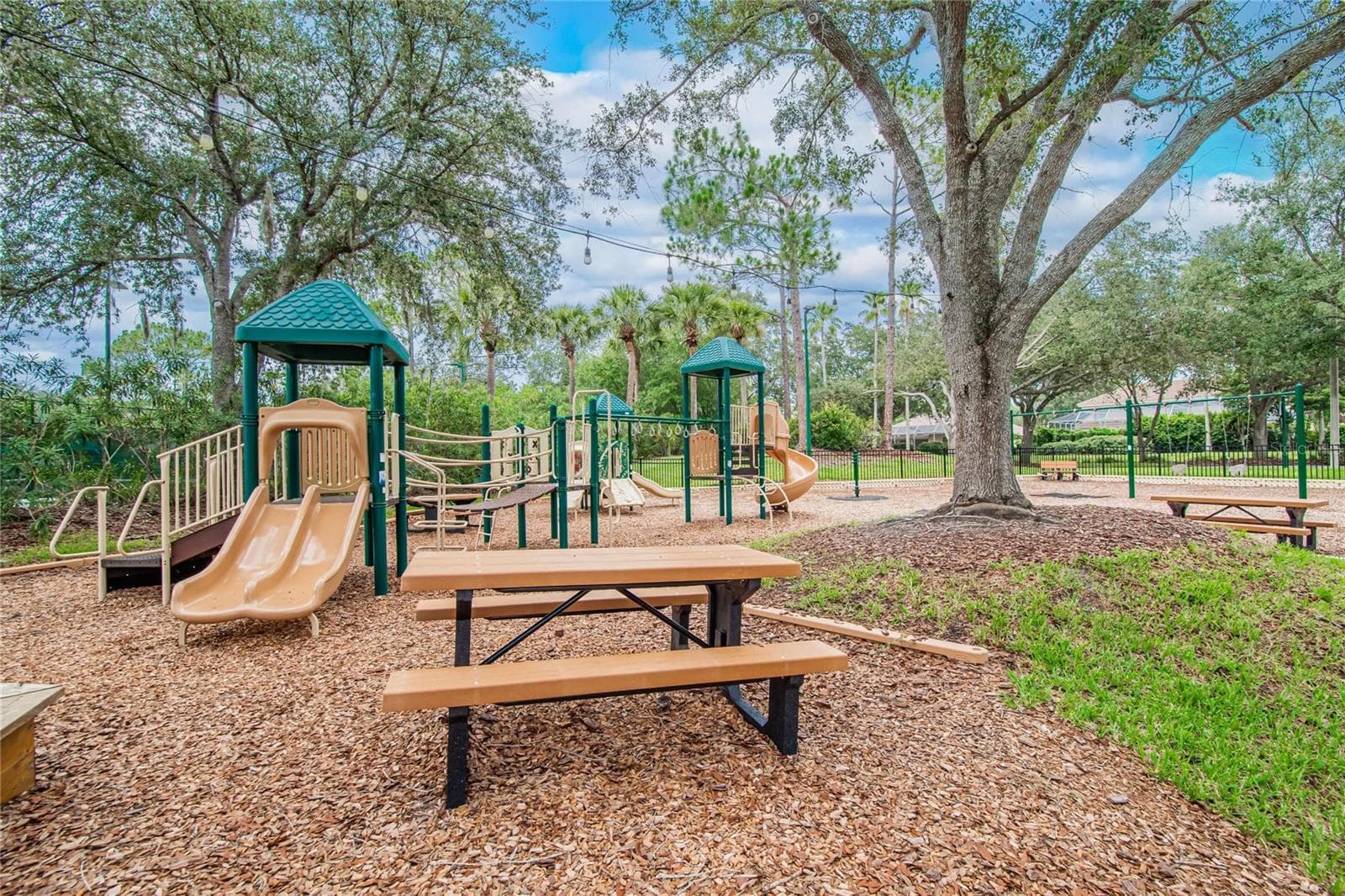 Single Family Residence at 10103 DEERCLIFF DR, TAMPA, photo 90 of 94