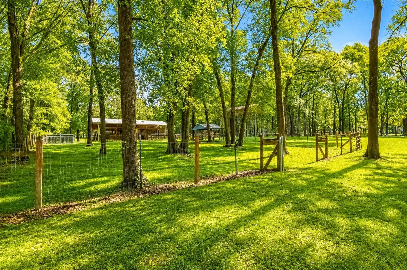 Farm at 15970 NW 53RD ST, MORRISTON, photo 61 of 66