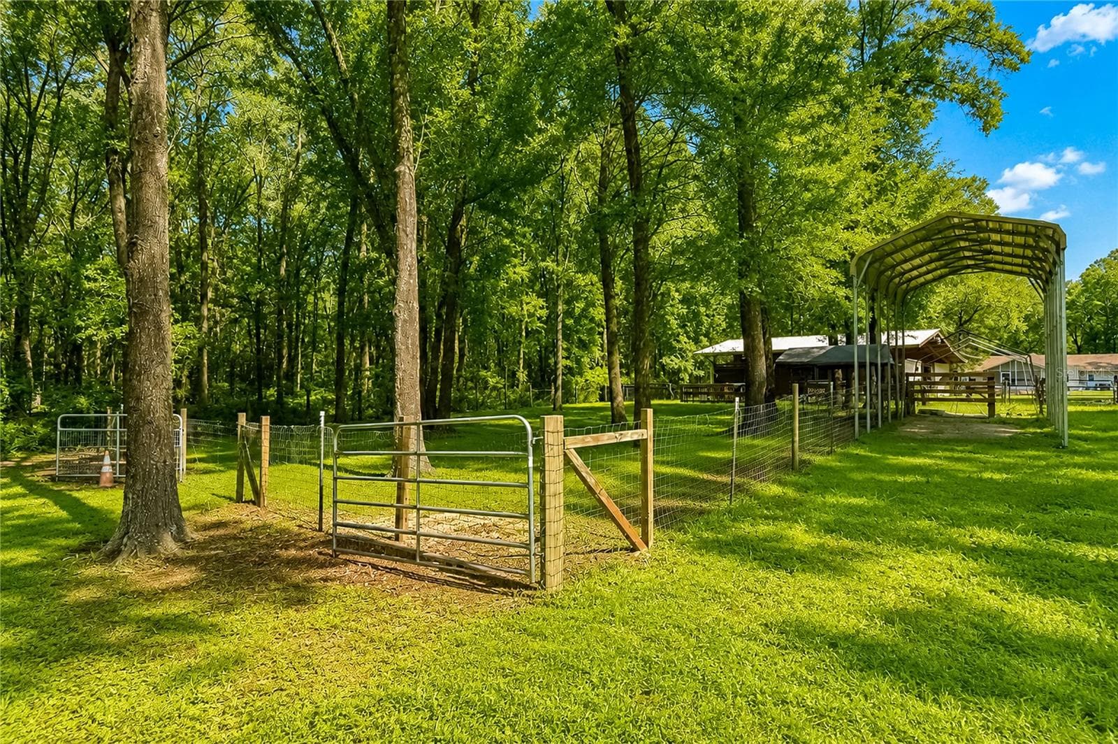 Farm at 15970 NW 53RD ST, MORRISTON, photo 62 of 66