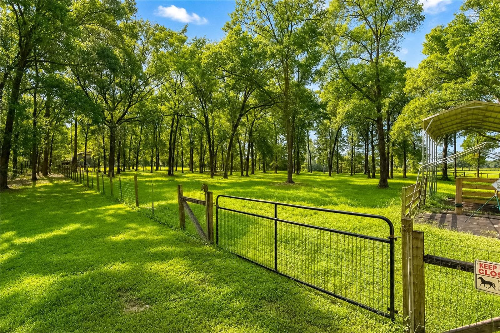 Farm at 15970 NW 53RD ST, MORRISTON, photo 64 of 66