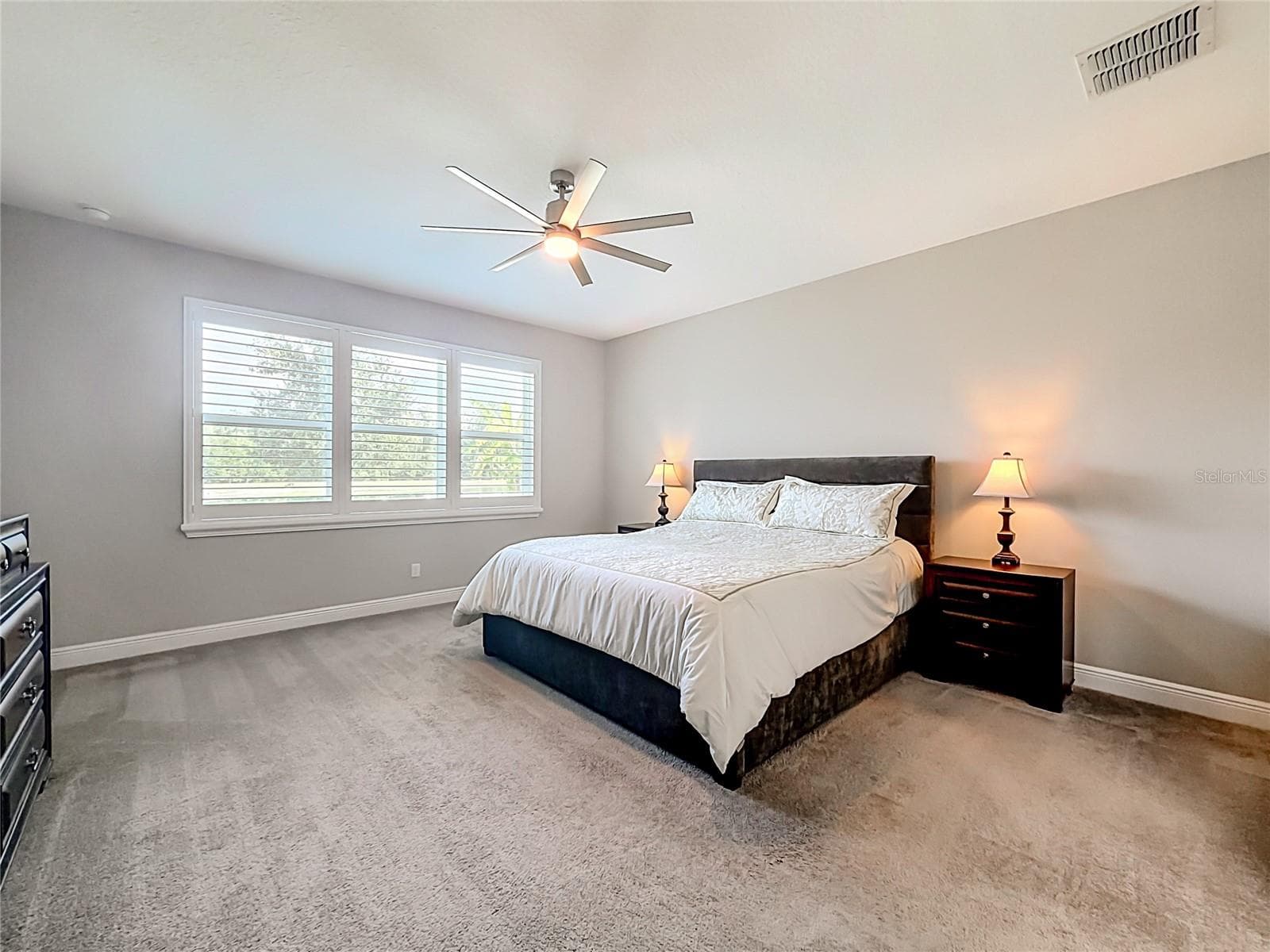 Primary Bedroom - 19563 LEONARD RD, LUTZ