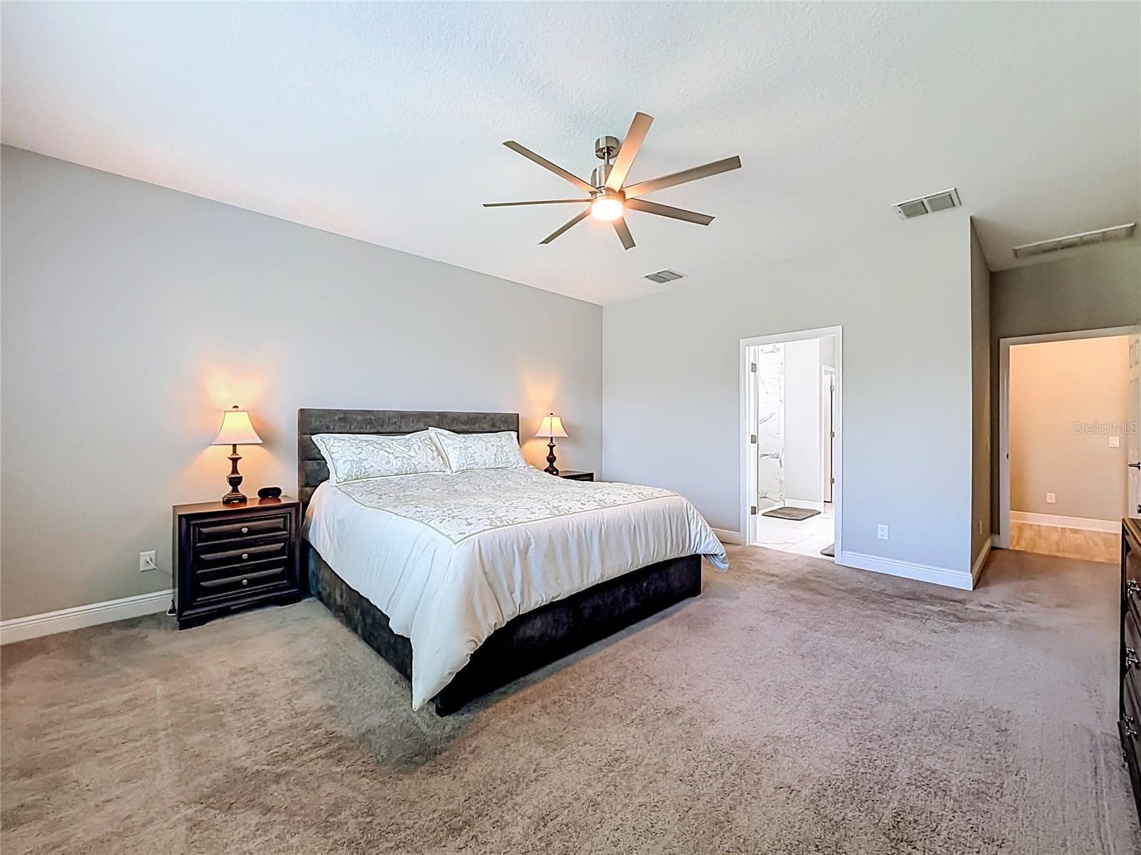 Primary Bedroom - 19563 LEONARD RD, LUTZ