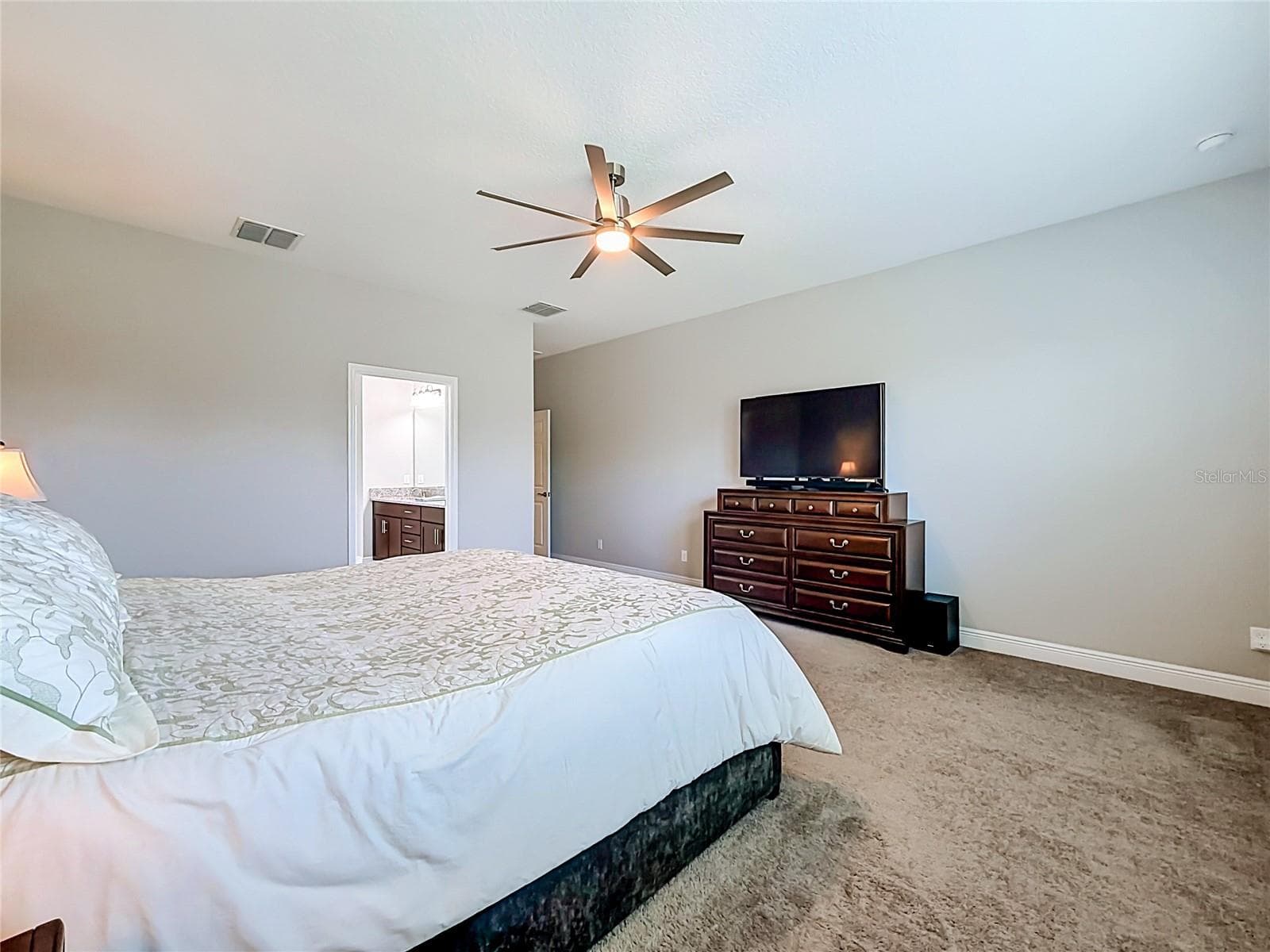 Primary Bedroom - 19563 LEONARD RD, LUTZ