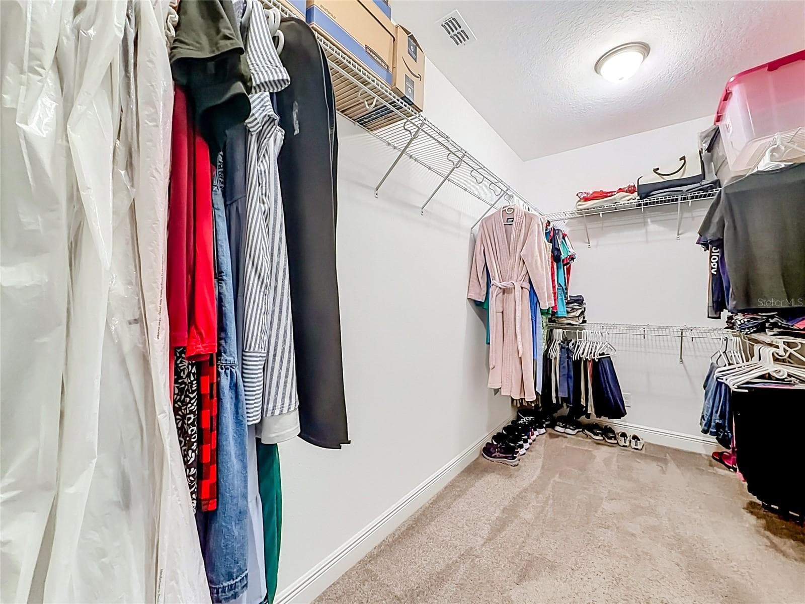 Ensuite Closet - 19563 LEONARD RD, LUTZ