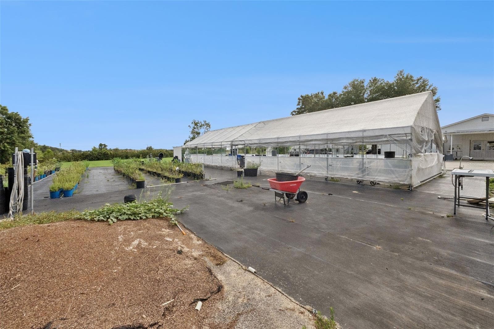 Greenhouse and field growing - 15000 S US HIGHWAY 441 HWY S, SUMMERFIELD