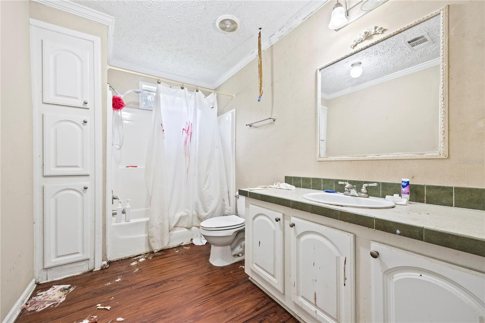 Manufactured Home at 13573 98TH ST, LIVE OAK, photo 10 of 25