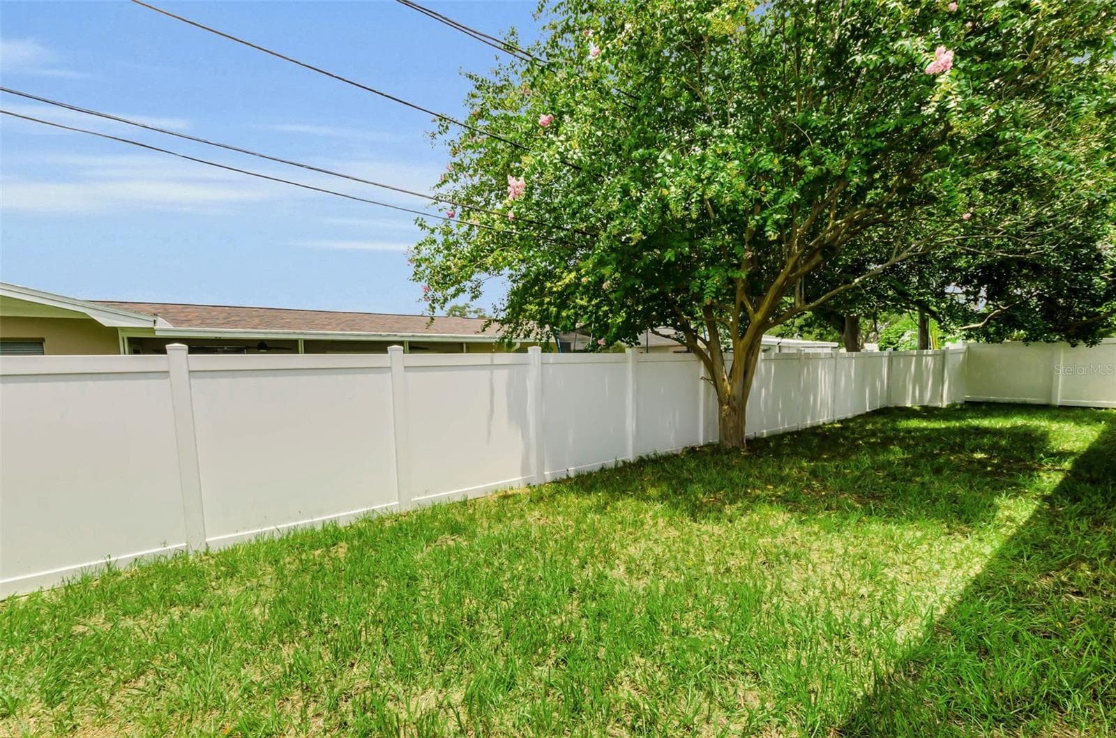 NEW SOD IN BACKYARD AND SIDEYARD! LOOK HOW GREEN!!! - 1888 BUGLE LN, CLEARWATER