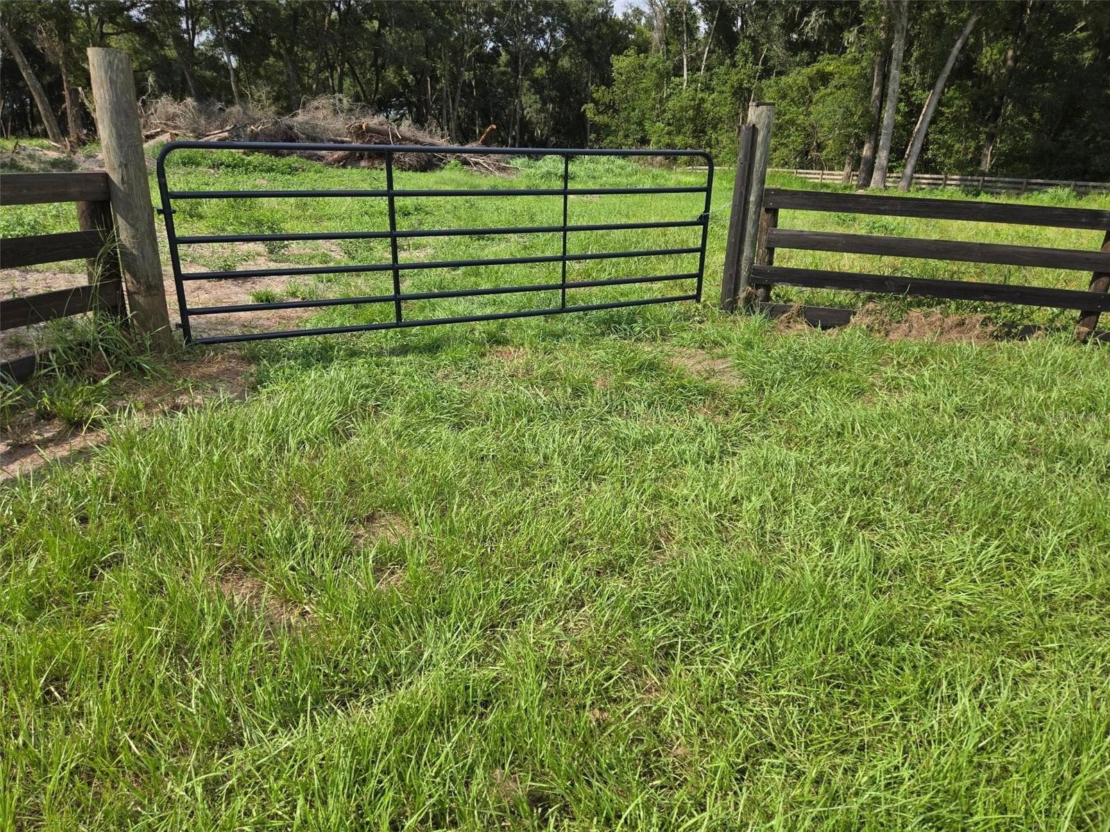 Land at 890 GRAND RONDO W, CRESCENT CITY, photo 2 of 26