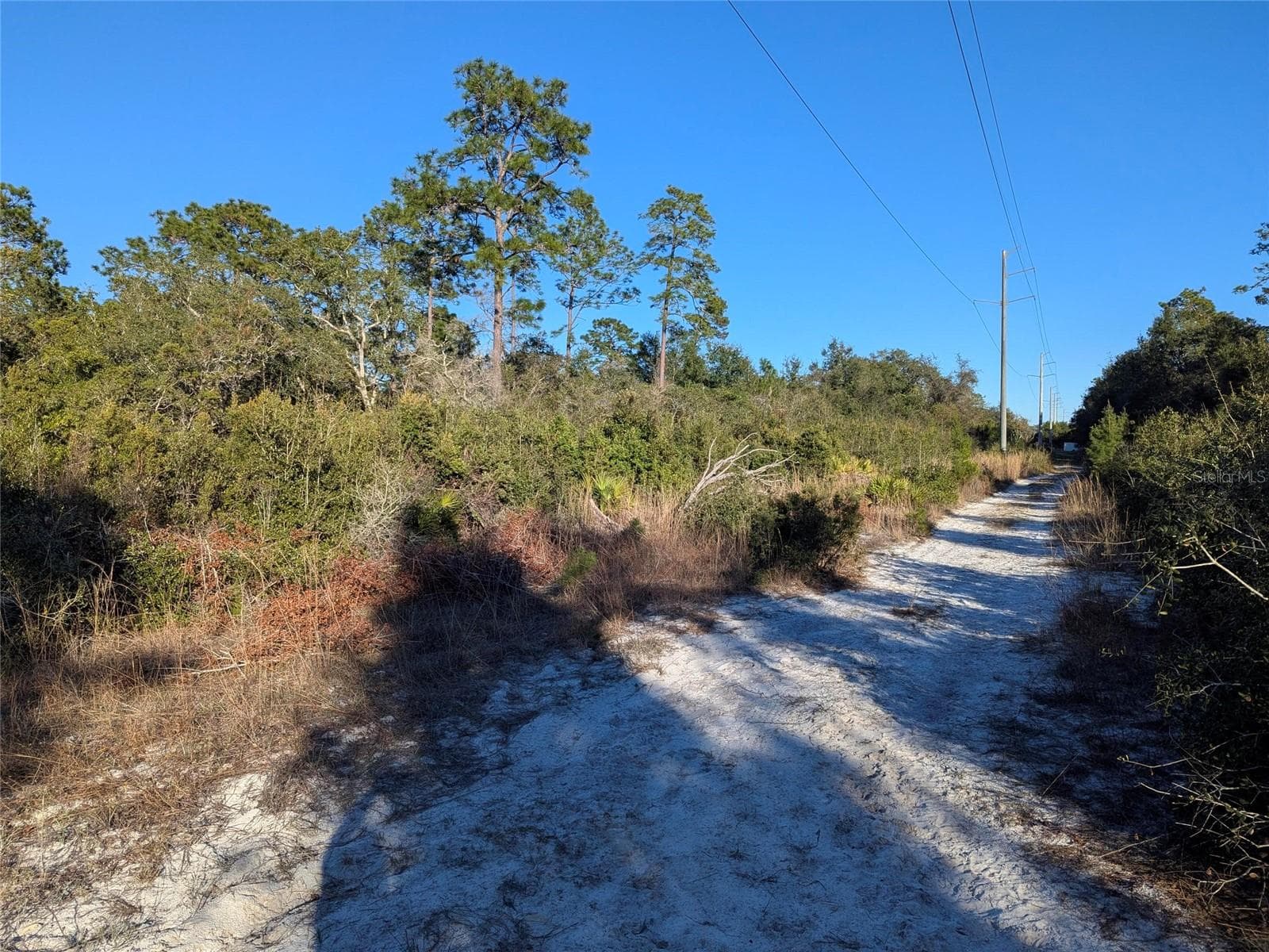Land at NELSON AVE, ORANGE CITY, photo 4 of 5