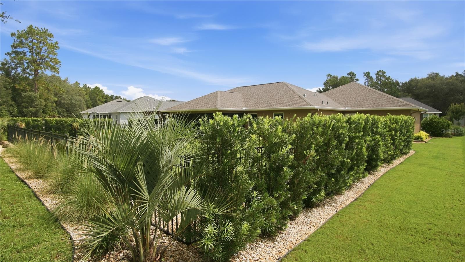 Side with privacy hedges - 6752 SW 179TH COURT RD, DUNNELLON