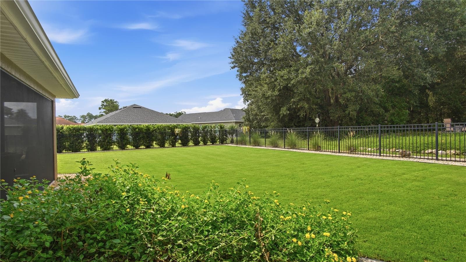 Backyard - 6752 SW 179TH COURT RD, DUNNELLON