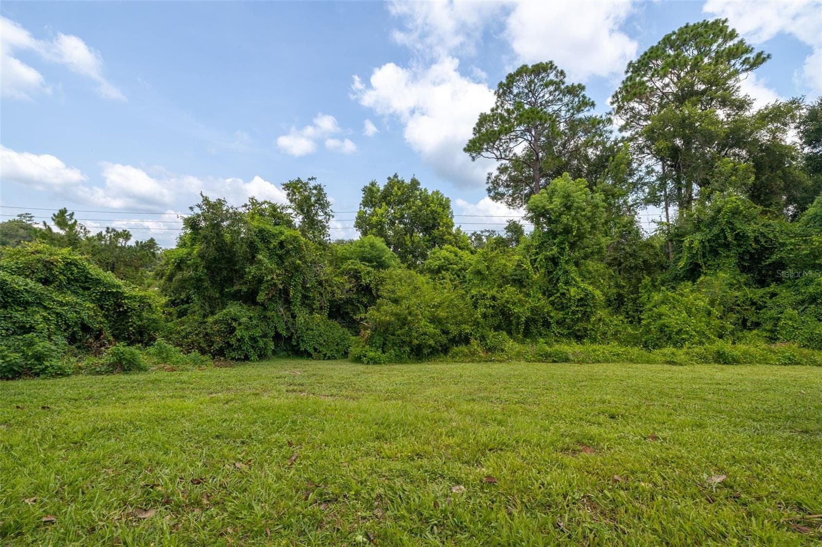 Single Family Residence at 314 W LAKE VICTORIA CIR, DELAND, photo 44 of 66