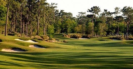 Golf - 314 W LAKE VICTORIA CIR, DELAND
