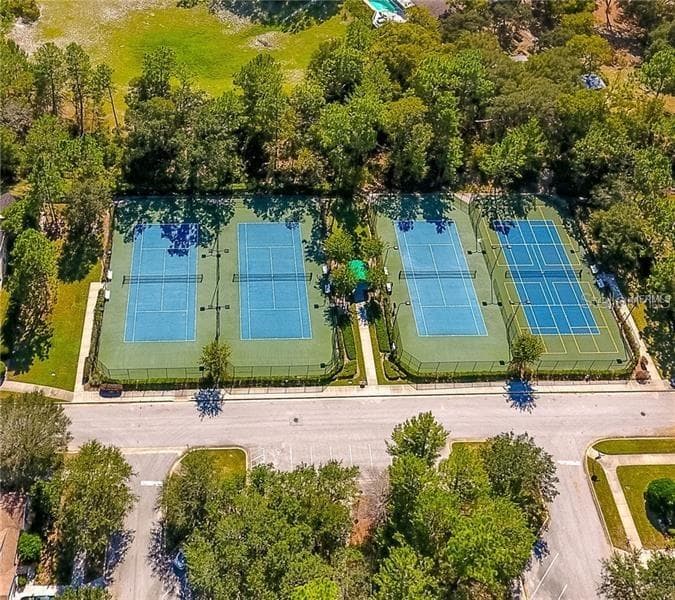 Pickleball & Tennis Courts - 314 W LAKE VICTORIA CIR, DELAND