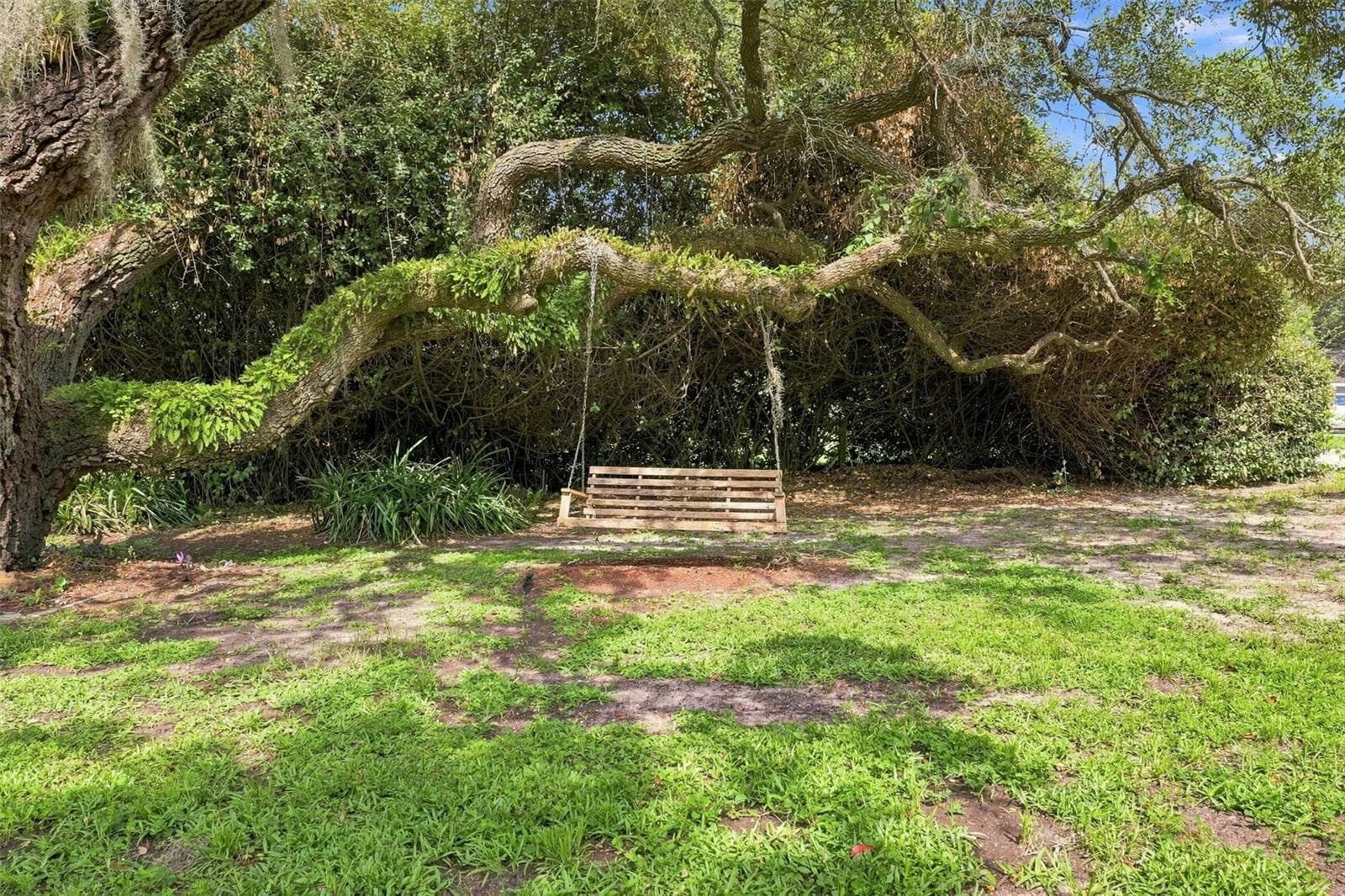 Front Yard - 400 FAIRBANKS RD, SPRING HILL