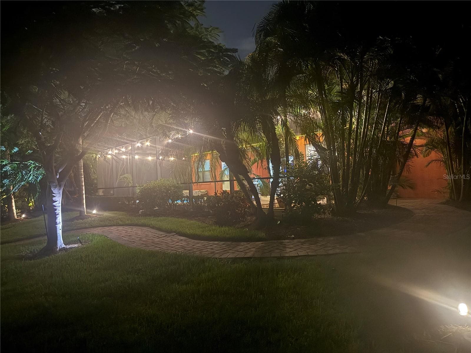 Backyard at night - 545 MAST DR, BRADENTON
