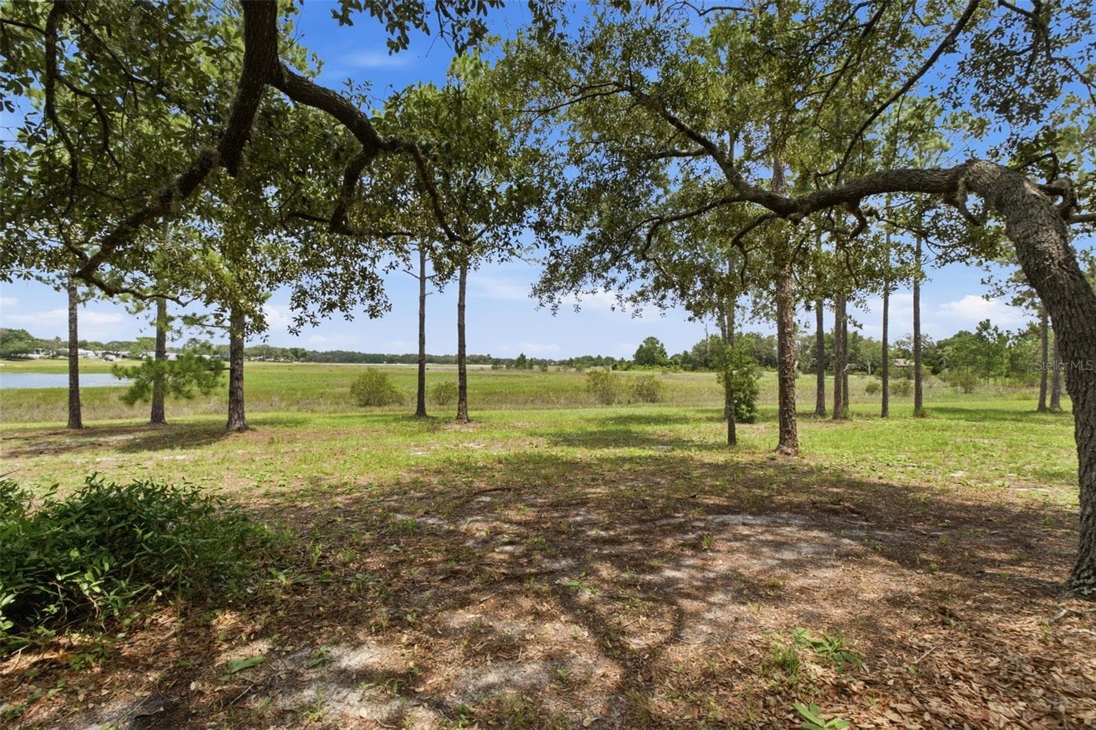 Backyard - 10307 WATERS EDGE CT, WEEKI WACHEE