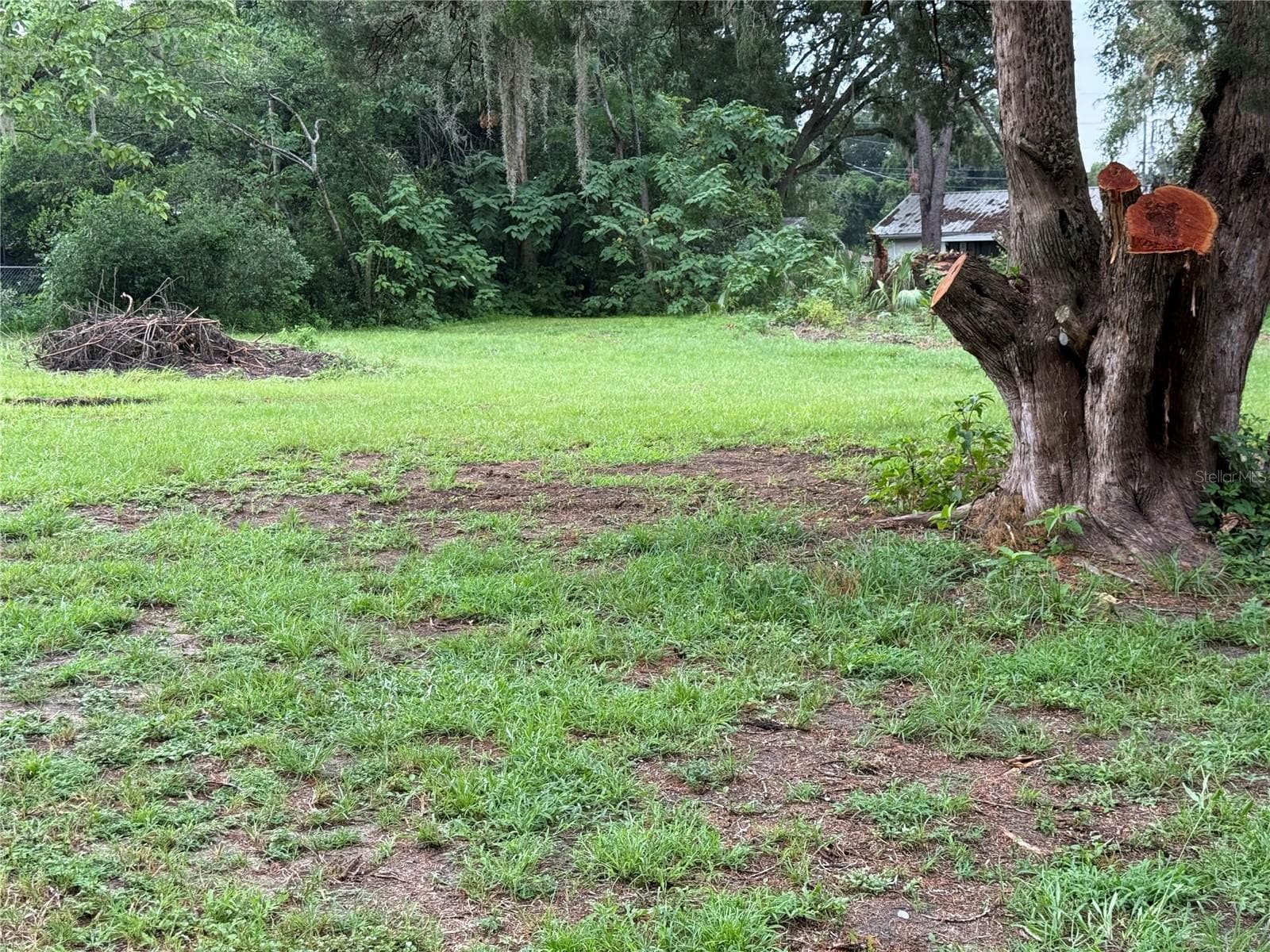 Land at 5427 SE 137TH LN, SUMMERFIELD, photo 3 of 5