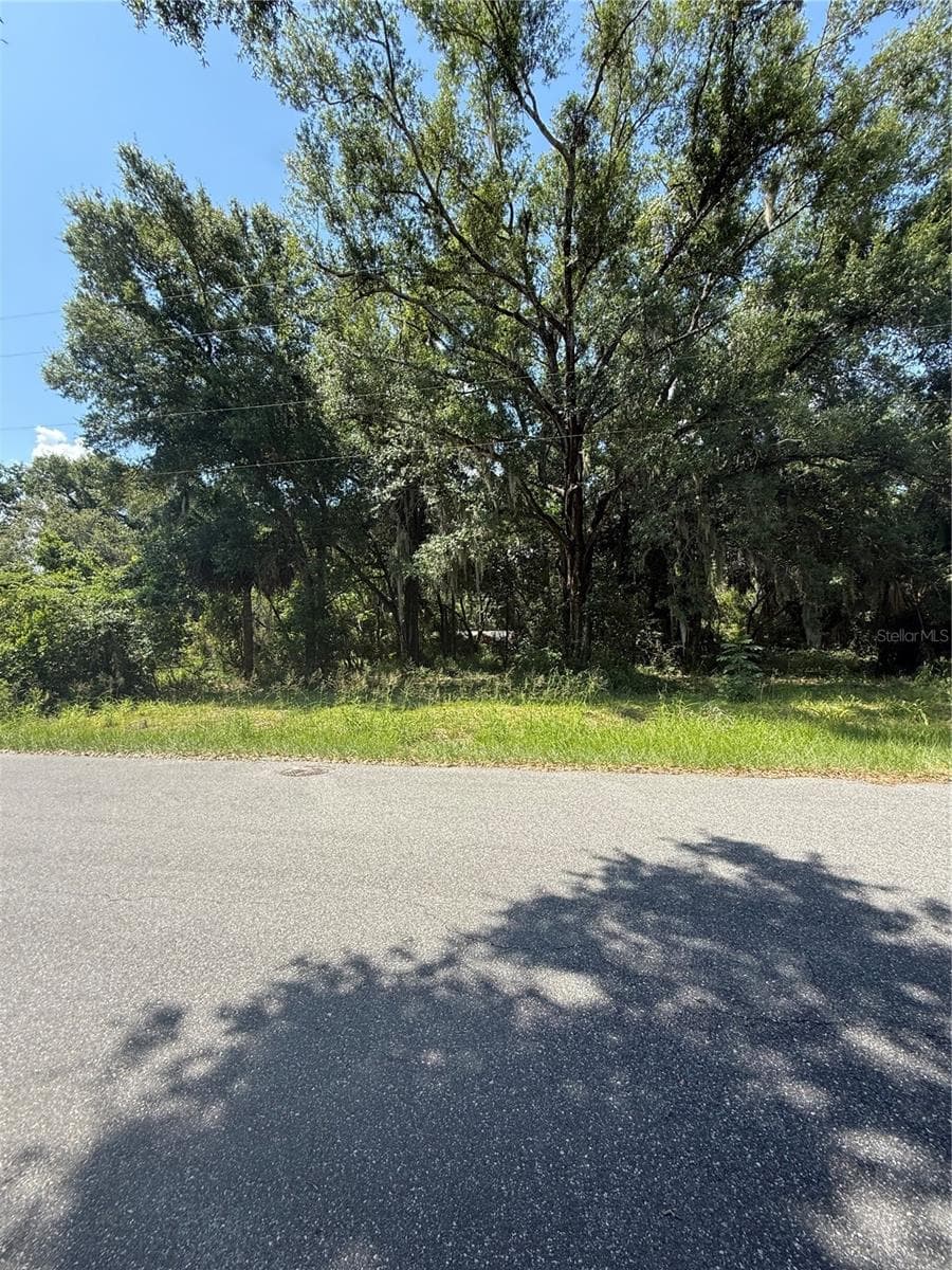 Land at 1101 E MAGNOLIA ST, LEESBURG, photo 2 of 7