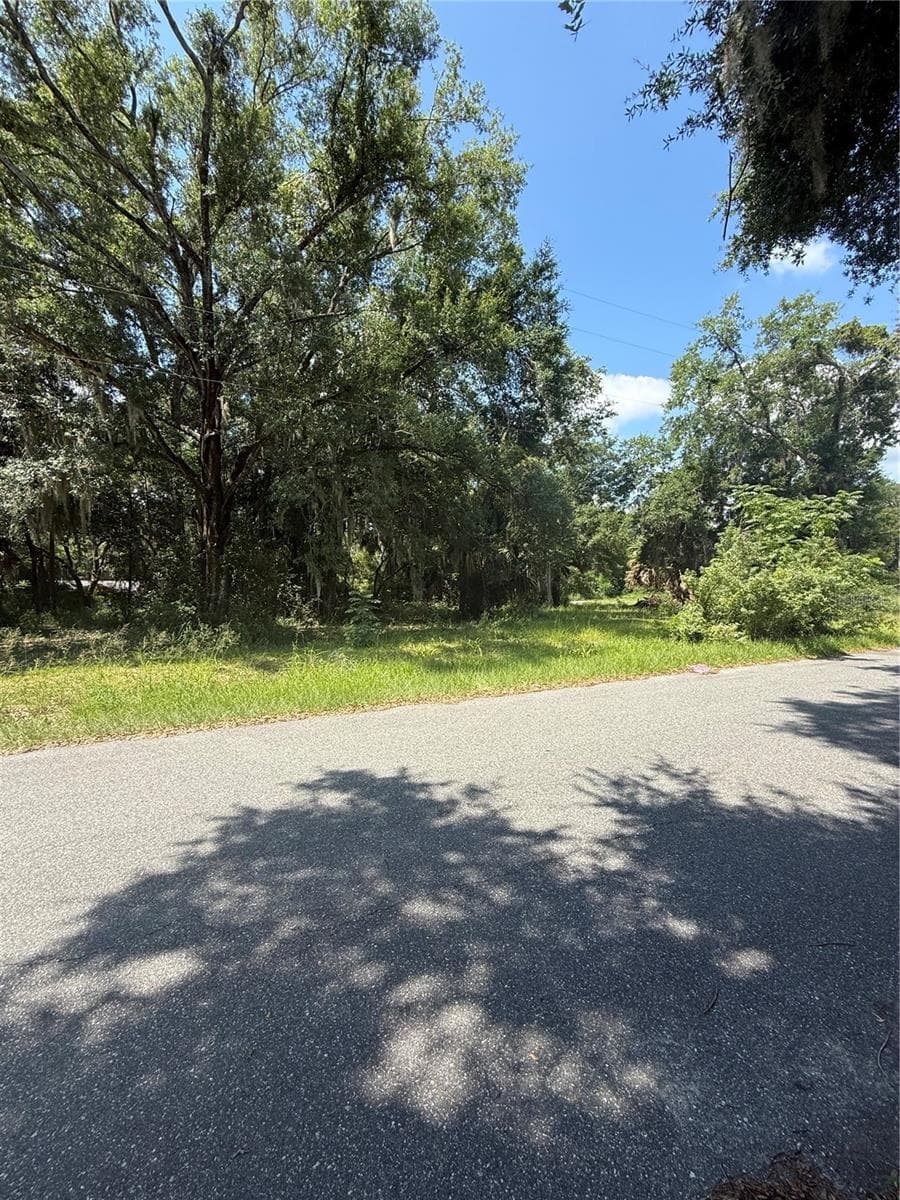 Land at 1101 E MAGNOLIA ST, LEESBURG, photo 3 of 7