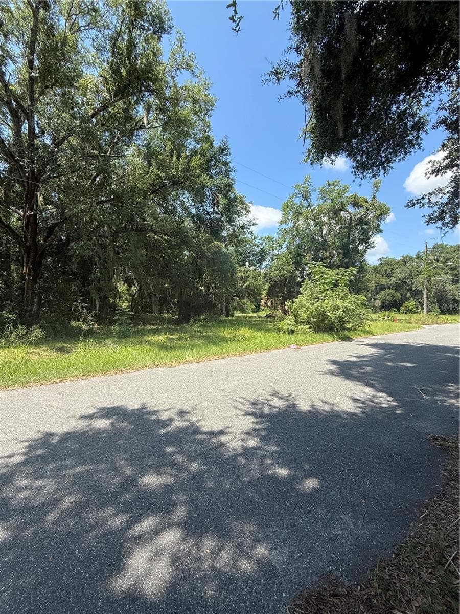 Land at 1101 E MAGNOLIA ST, LEESBURG, photo 4 of 7