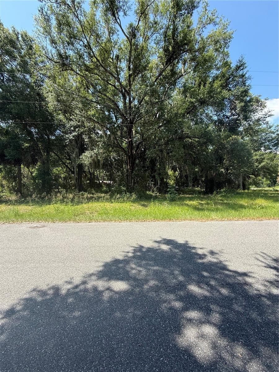 Land at 1101 E MAGNOLIA ST, LEESBURG, photo 5 of 7