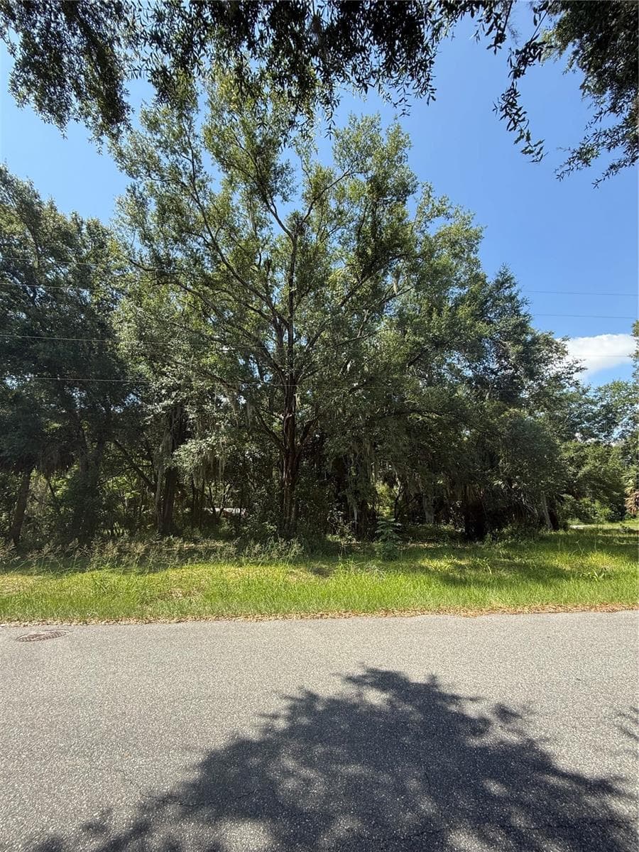 Land at 1101 E MAGNOLIA ST, LEESBURG, photo 6 of 7