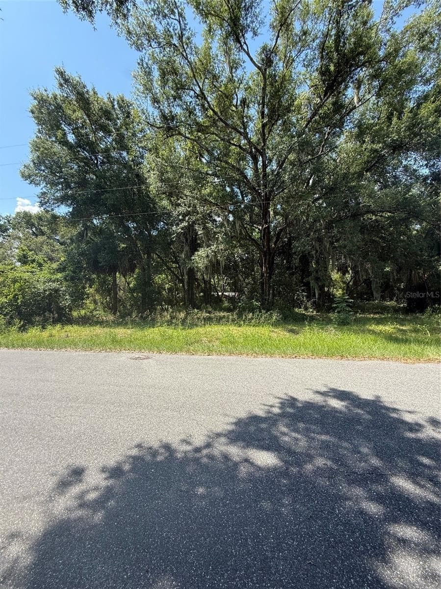 Land at 1101 E MAGNOLIA ST, LEESBURG, photo 7 of 7