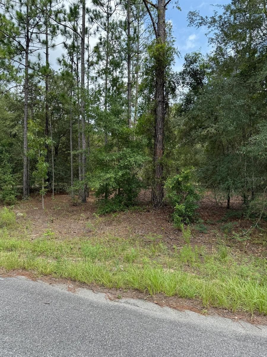 Land at 6461 N ELNORA WAY, CITRUS SPRINGS, photo 2 of 6