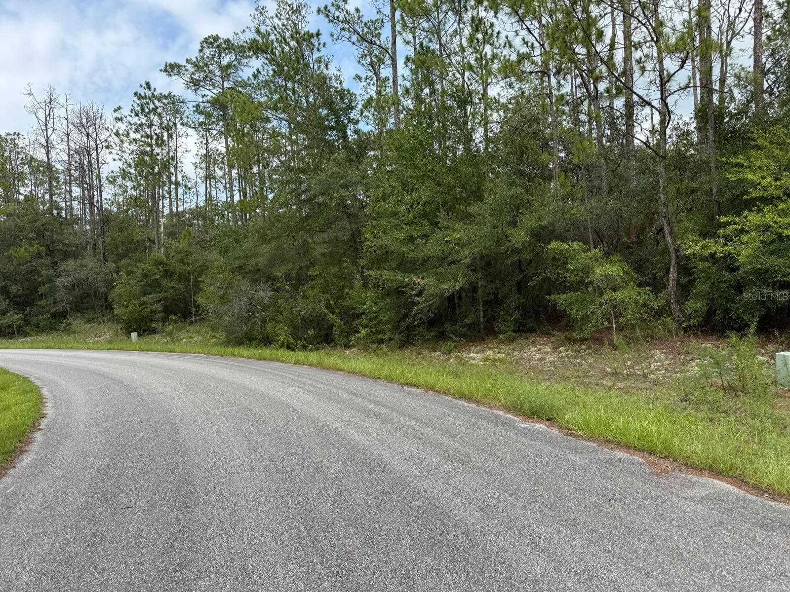Land at 6461 N ELNORA WAY, CITRUS SPRINGS, photo 4 of 6
