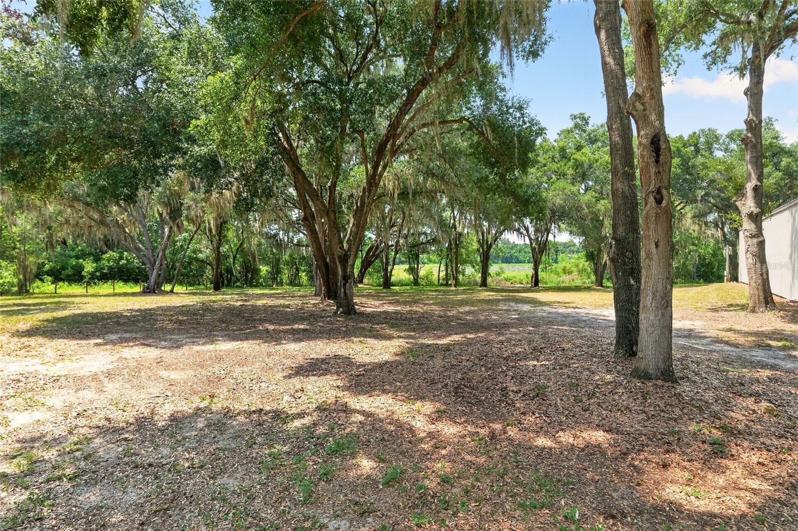 Single Family Residence at 12499 E HIGHWAY 25, OCKLAWAHA, photo 96 of 100