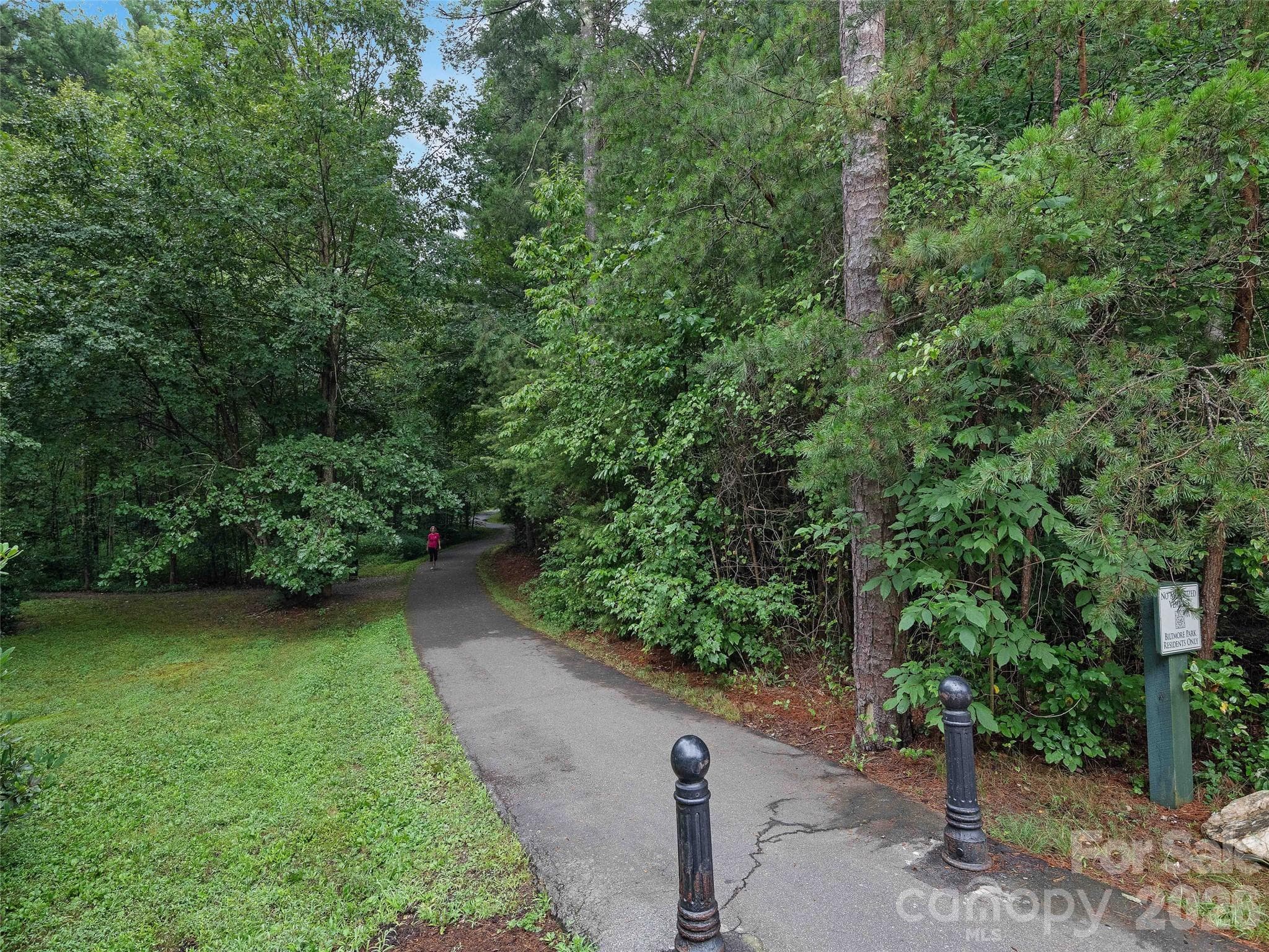 Walking Trails - 5 Farleigh Street, Asheville