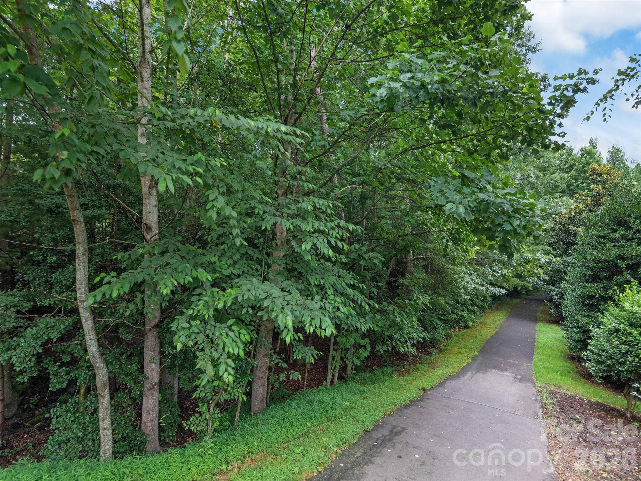 Walking Trails - 5 Farleigh Street, Asheville