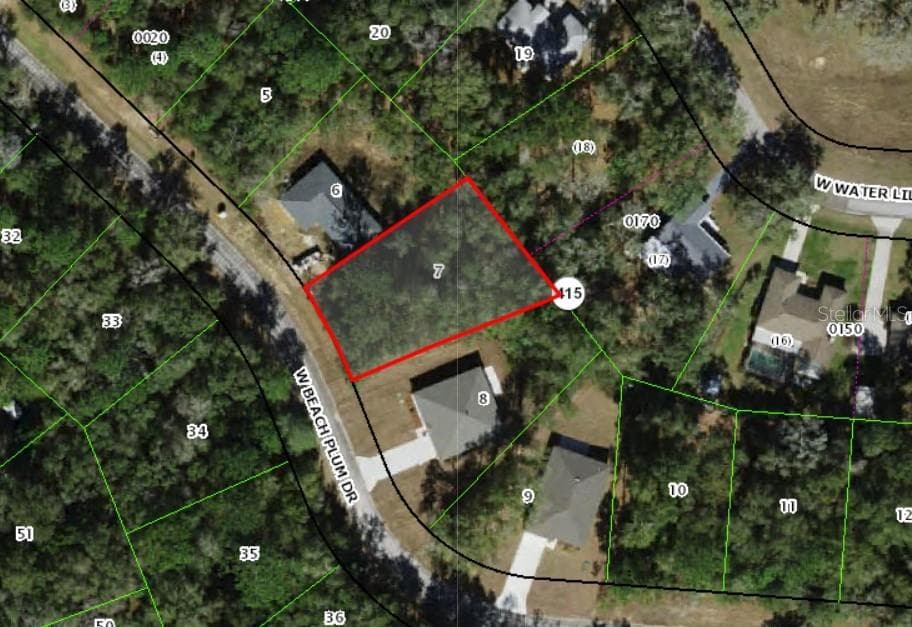 Land at 2031 W BEACH PLUM DR, CITRUS SPRINGS, photo 2 of 7