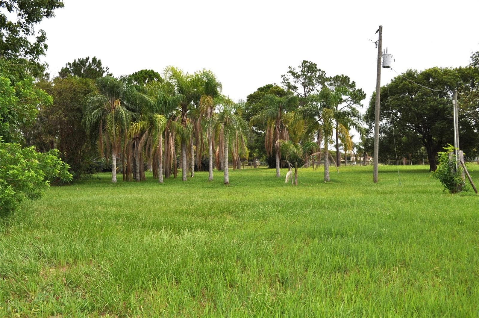 Land at 5170 STAR LINE DR, ST CLOUD, photo 5 of 25