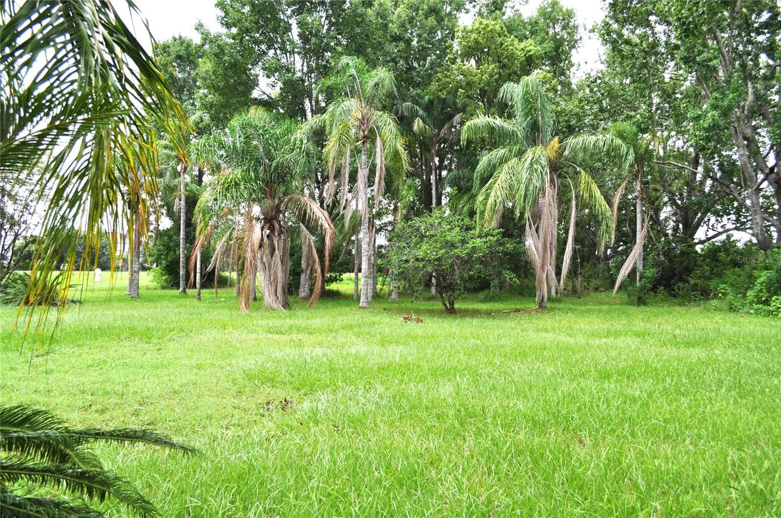 Beautiful green pastures - 5170 STAR LINE DR, ST CLOUD