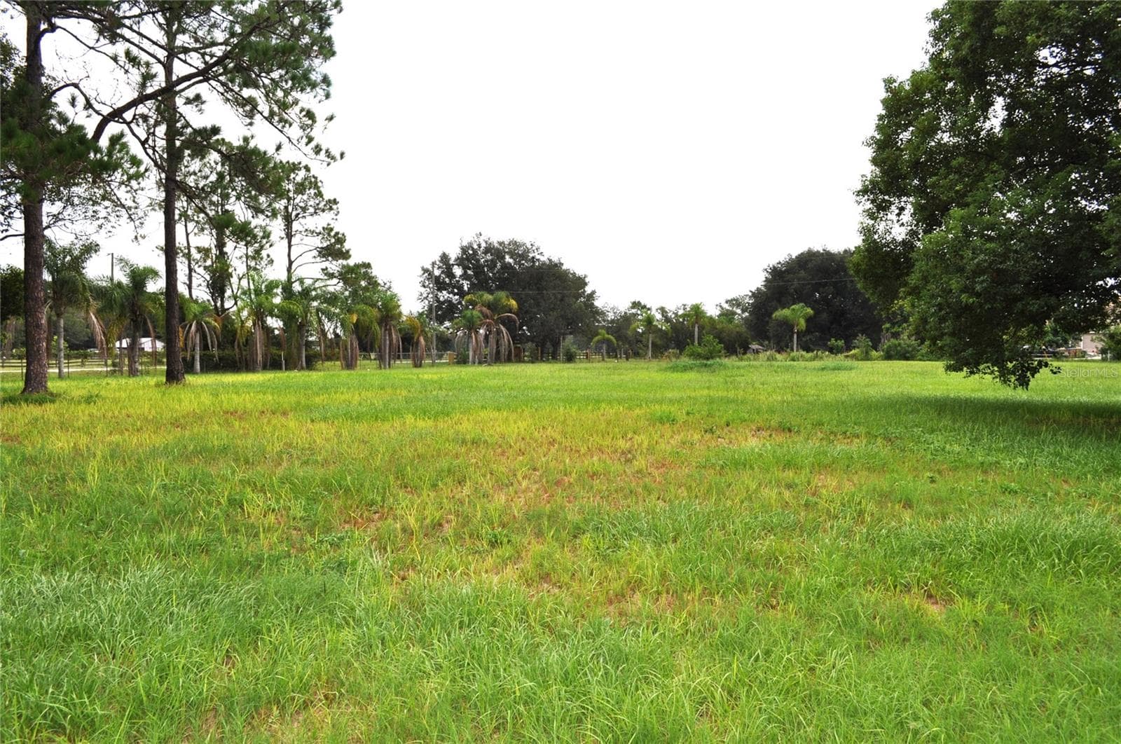 Land at 5170 STAR LINE DR, ST CLOUD, photo 12 of 25
