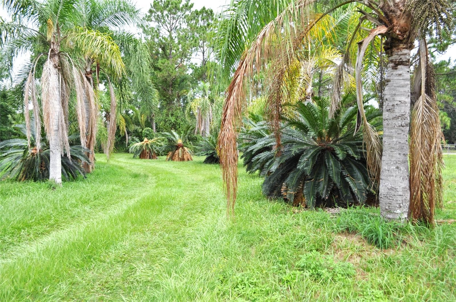 Land at 5170 STAR LINE DR, ST CLOUD, photo 14 of 25