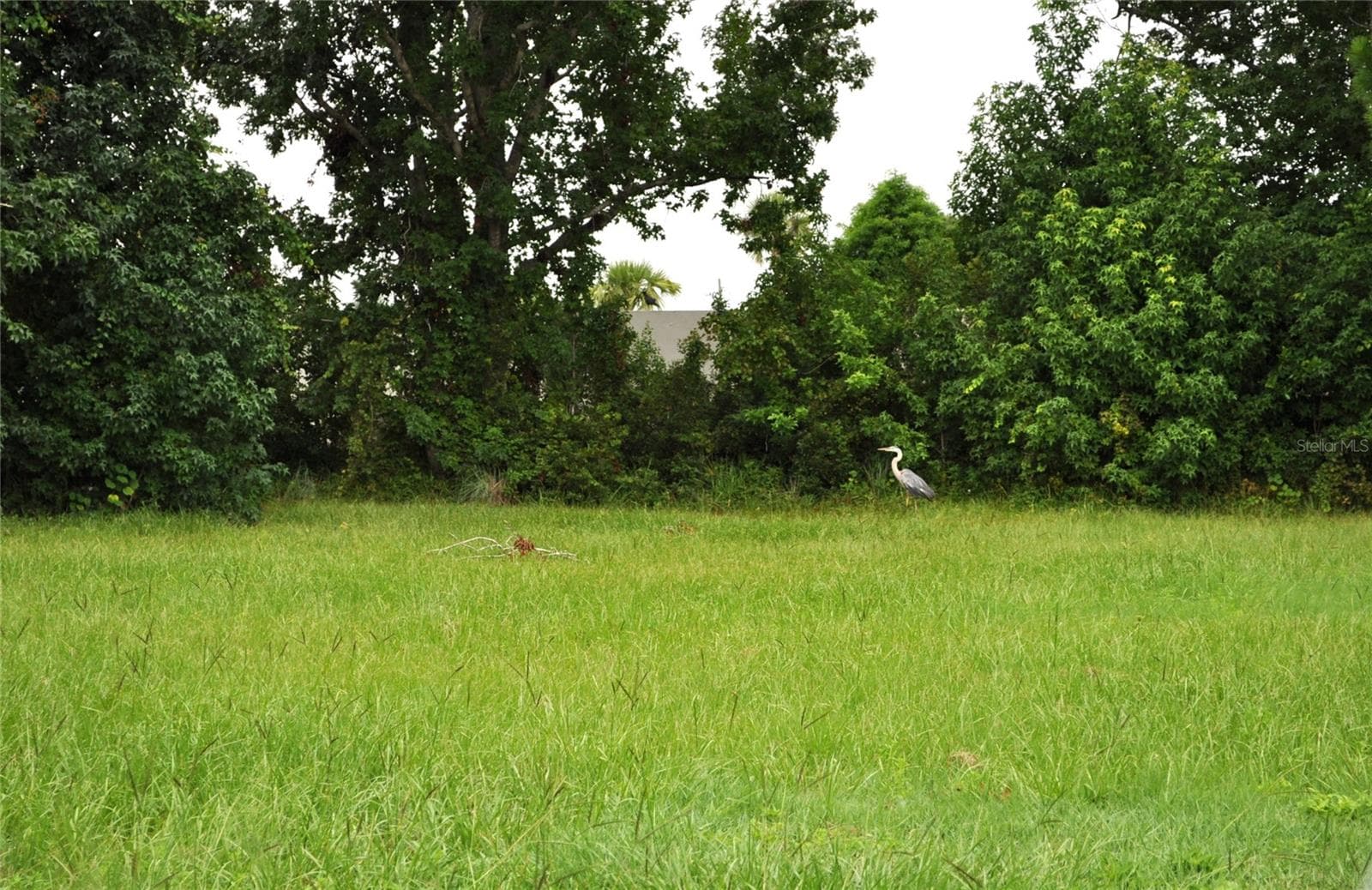 Land at 5170 STAR LINE DR, ST CLOUD, photo 21 of 25