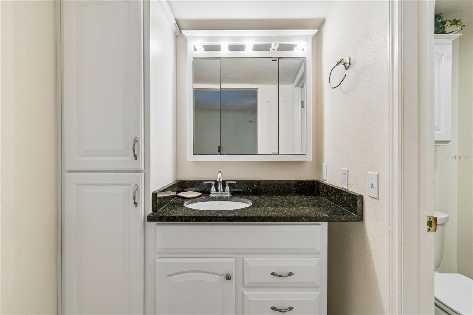 Condominium at 10387 CARROLLWOOD LN #303, TAMPA, photo 25 of 55