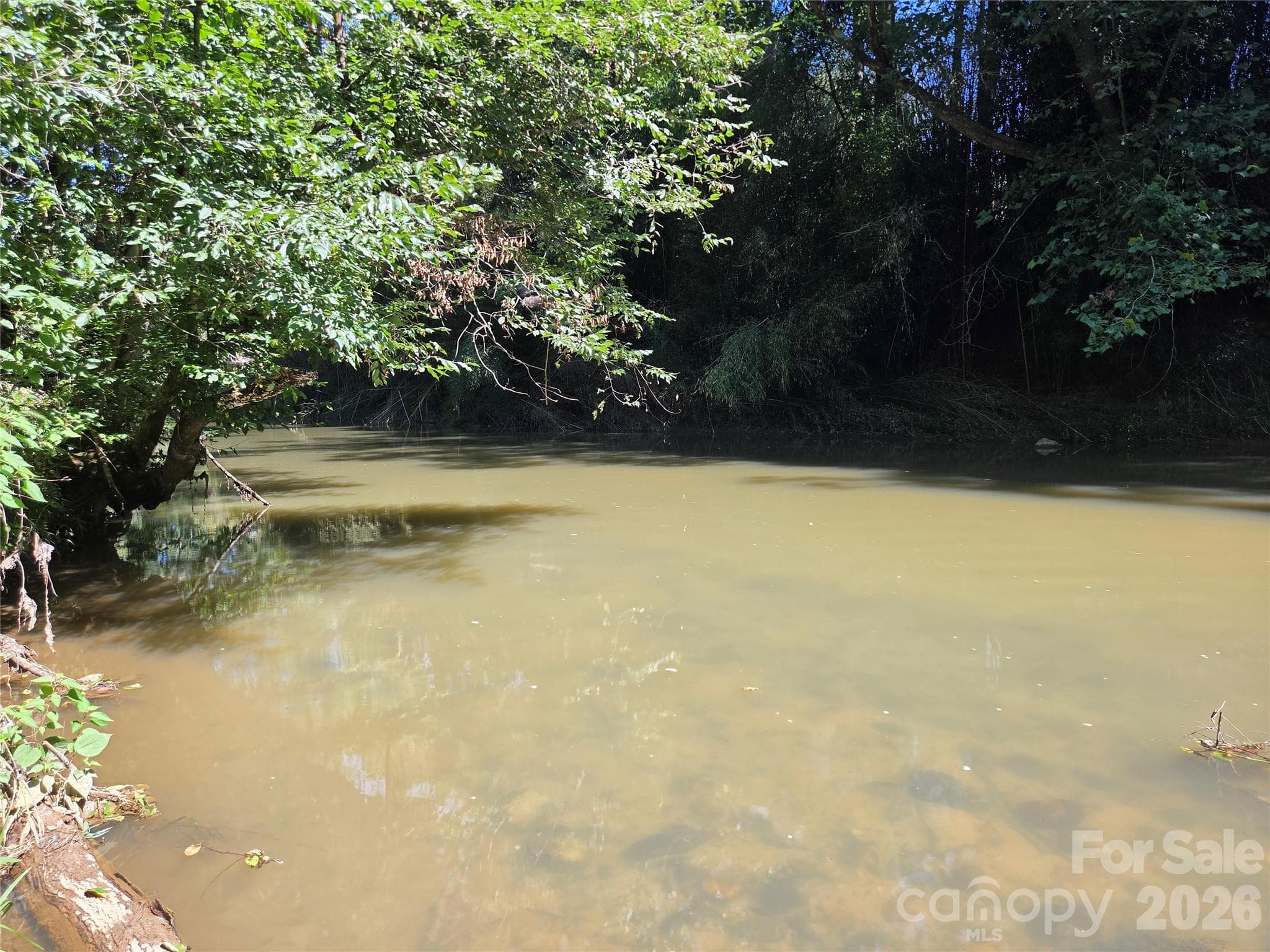 Acreage at 700 Nelson Lane, Millers Creek, photo 2 of 47