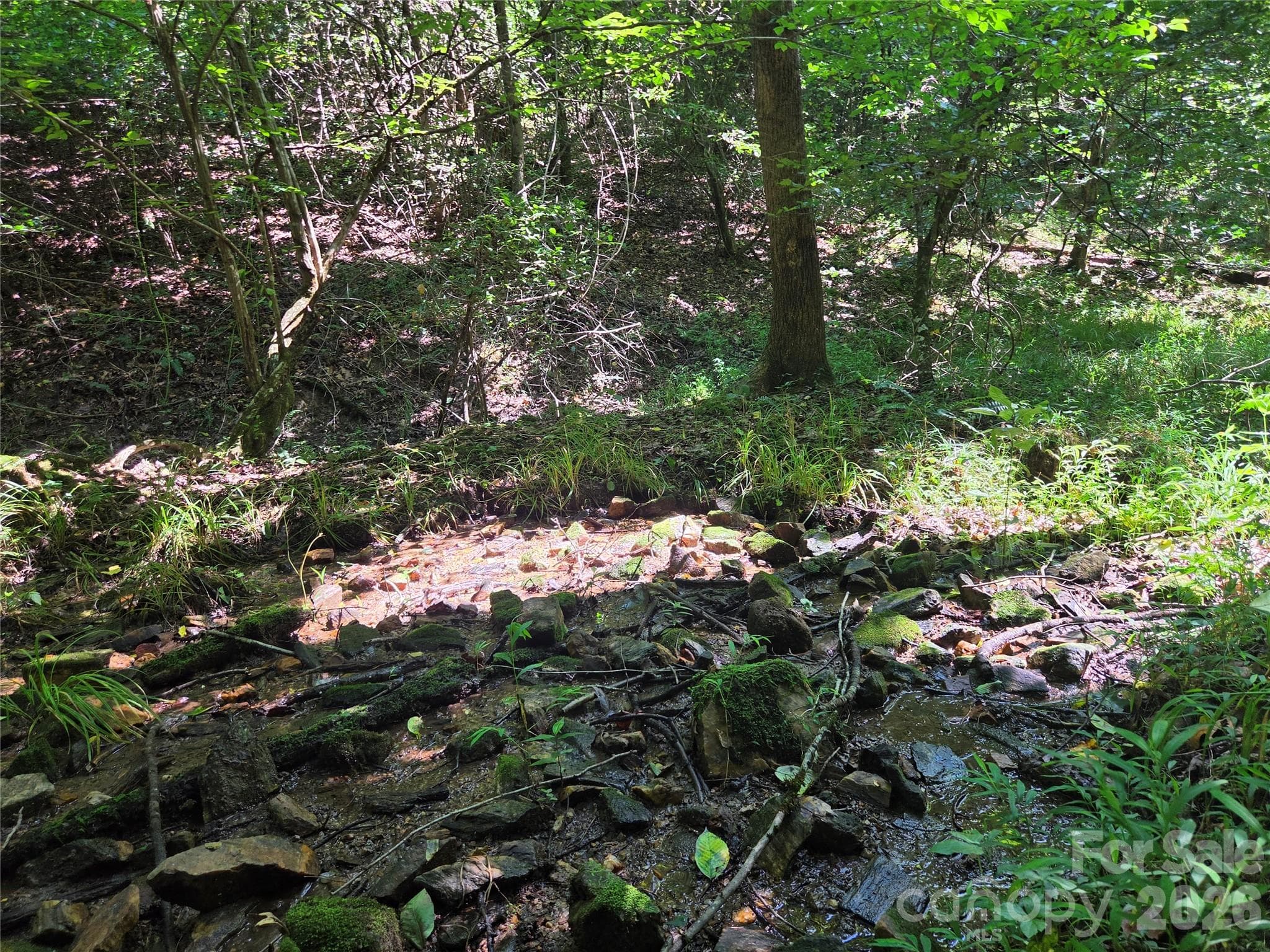 Acreage at 700 Nelson Lane, Millers Creek, photo 5 of 47