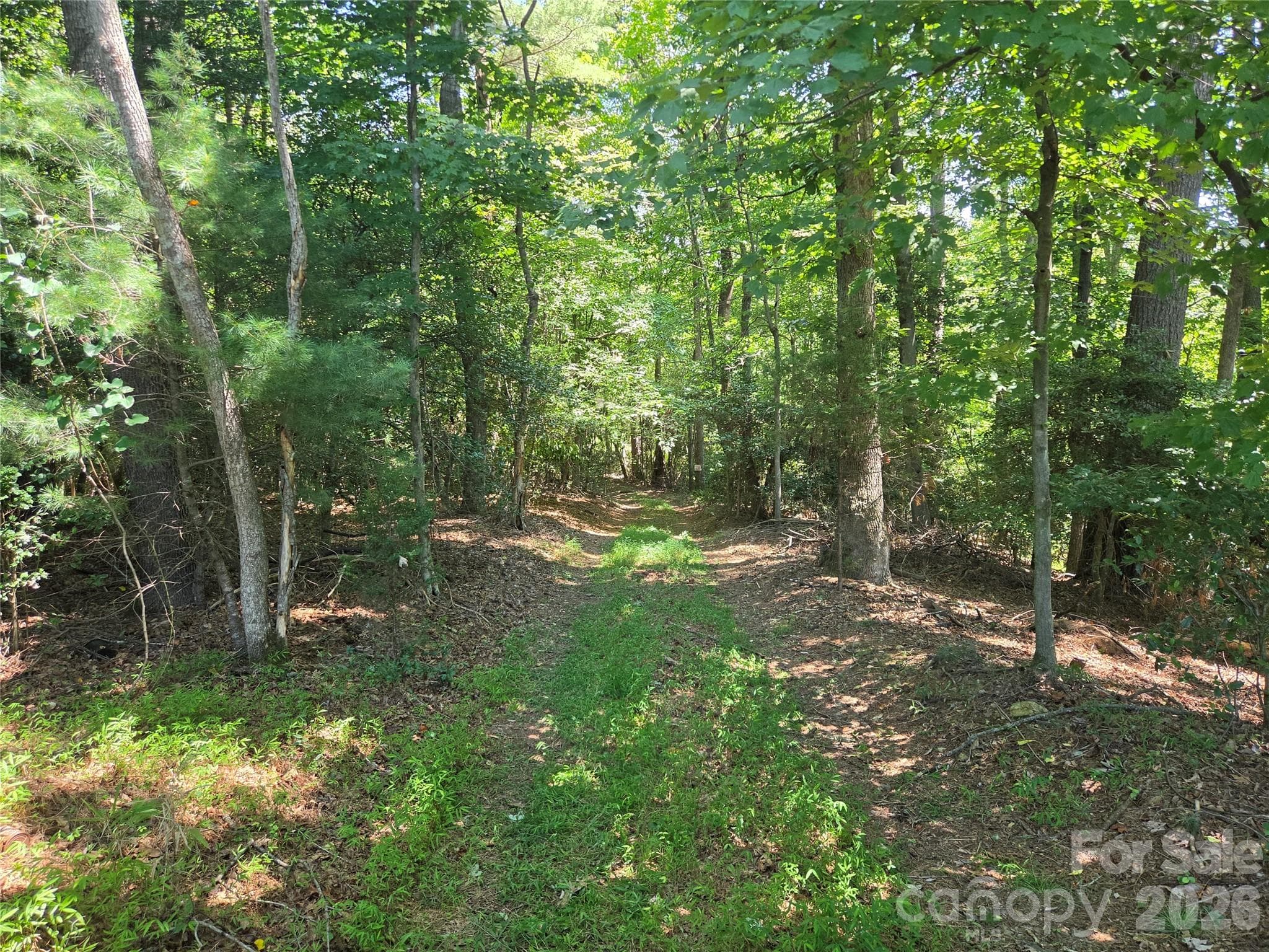 Acreage at 700 Nelson Lane, Millers Creek, photo 7 of 47