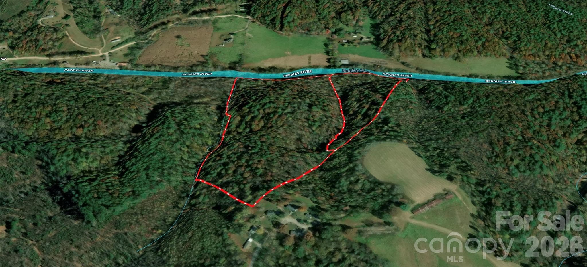Acreage at 700 Nelson Lane, Millers Creek, photo 8 of 47