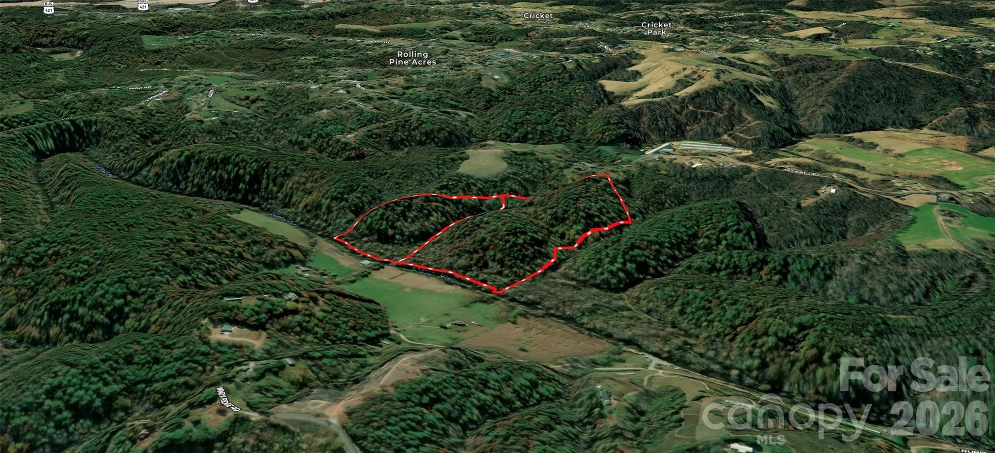 Acreage at 700 Nelson Lane, Millers Creek, photo 10 of 47