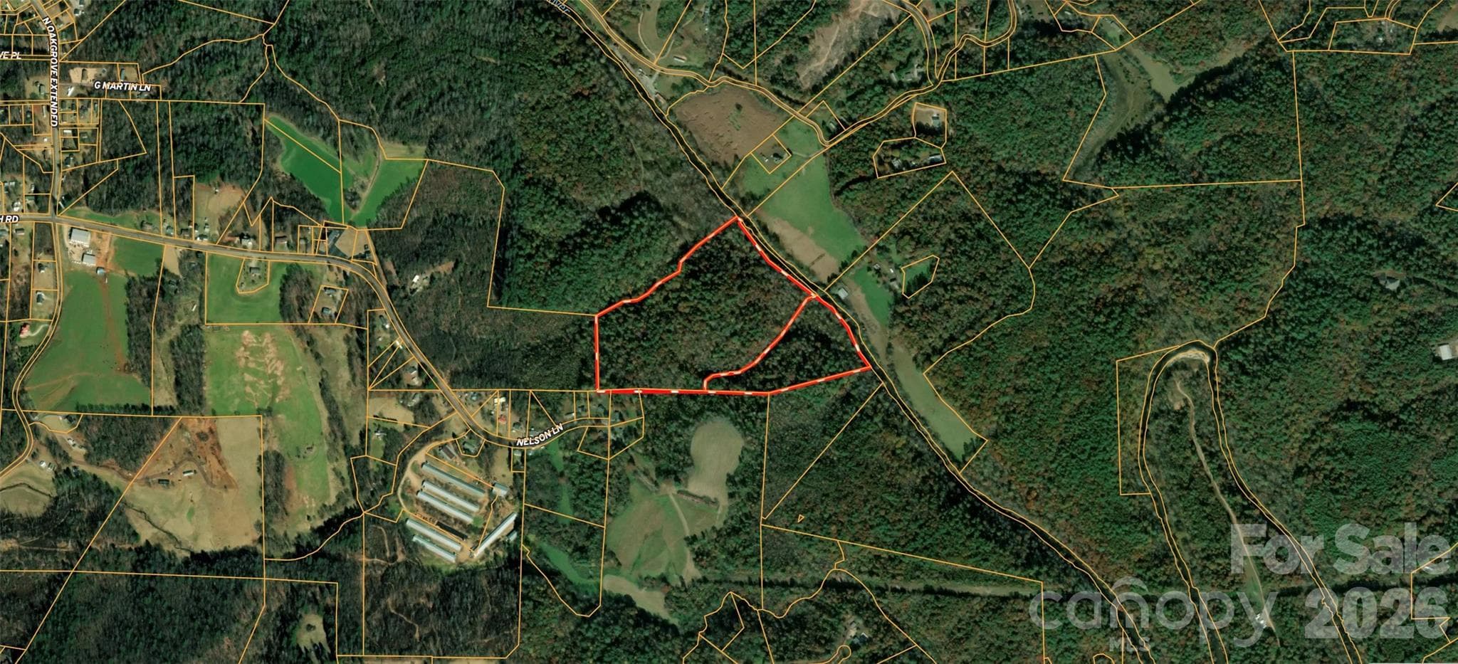 Acreage at 700 Nelson Lane, Millers Creek, photo 11 of 47