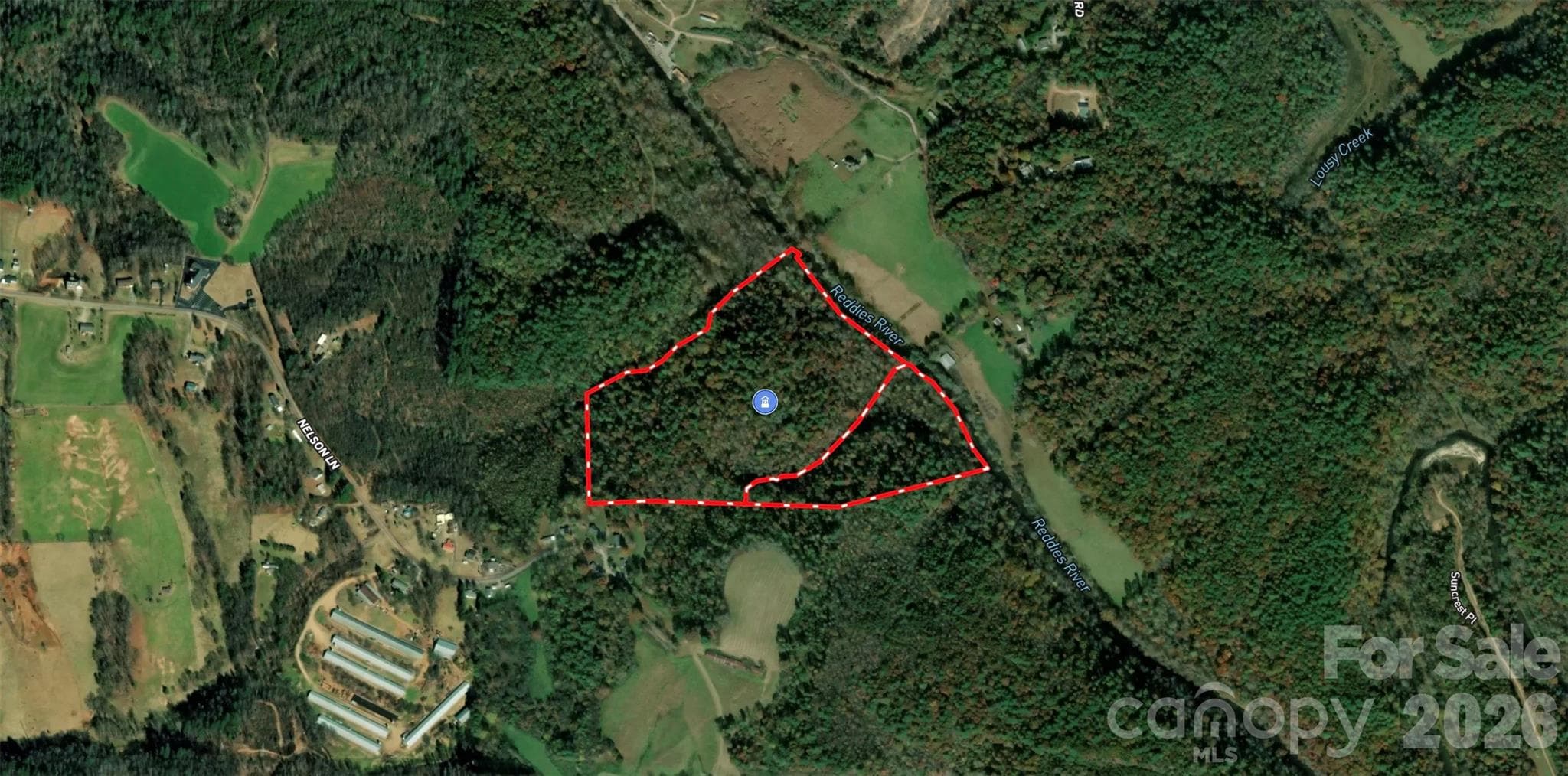 Acreage at 700 Nelson Lane, Millers Creek, photo 12 of 47