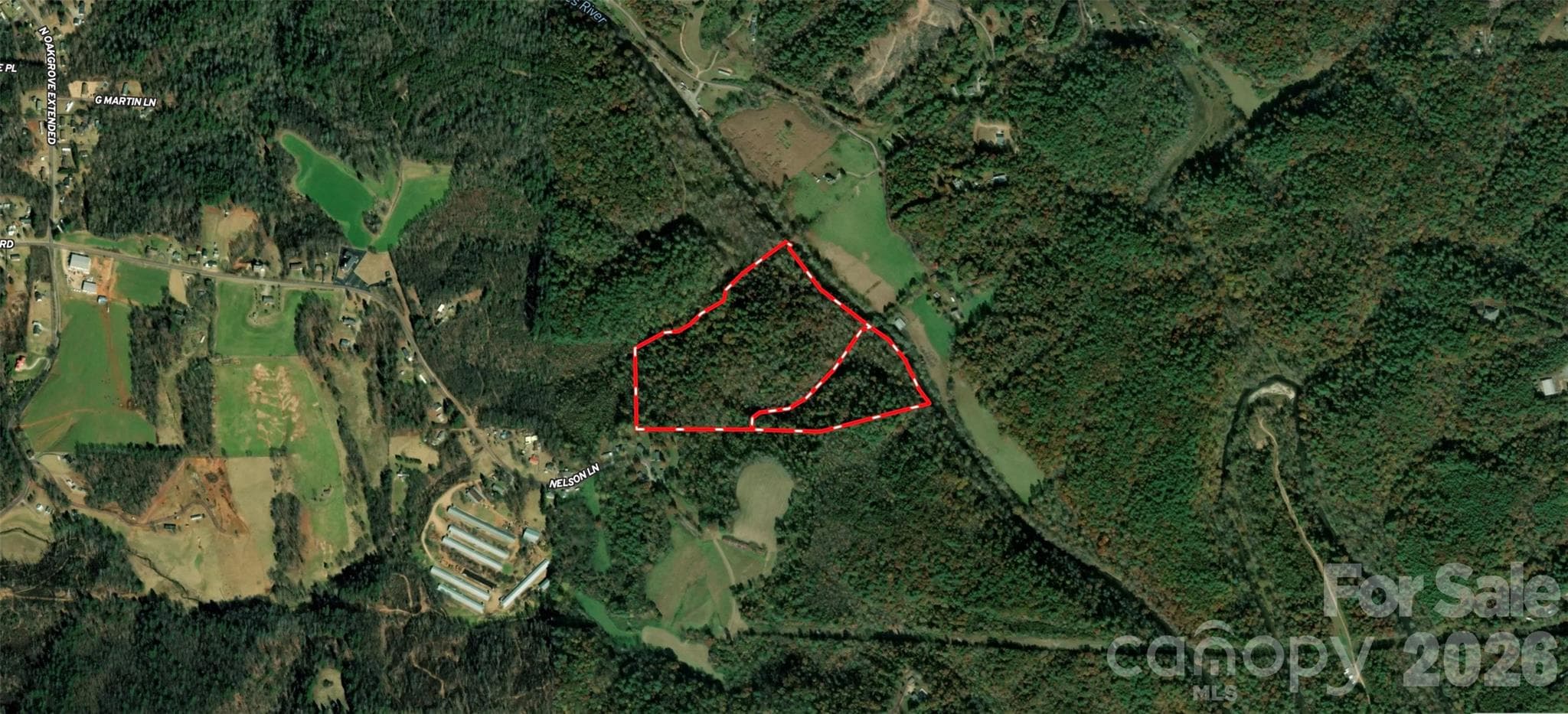 Acreage at 700 Nelson Lane, Millers Creek, photo 13 of 47