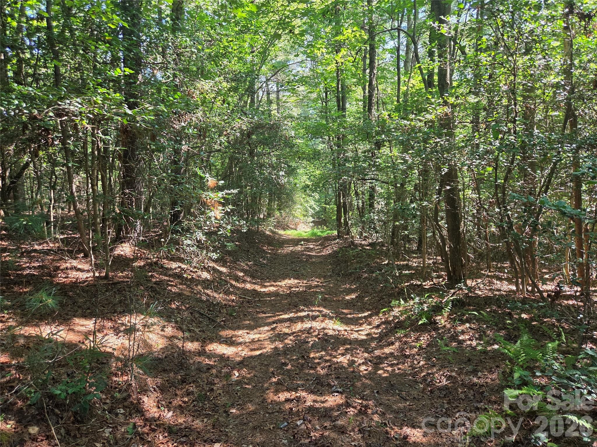 Acreage at 700 Nelson Lane, Millers Creek, photo 20 of 47